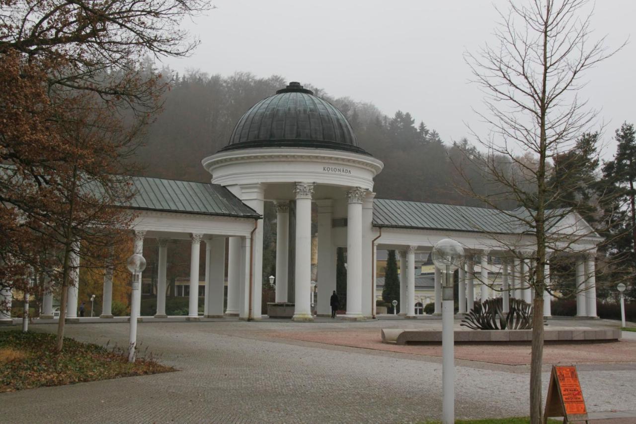 Apartman Karlovarska Mariënbad Buitenkant foto